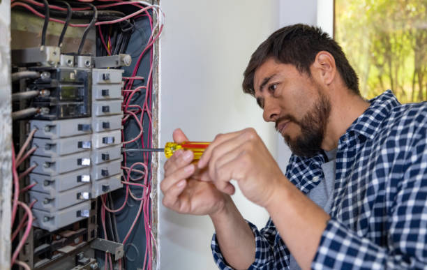 Professional Electrical Services in La Paloma, TX